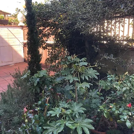 La Bianca - In * Sesto Fiorentino