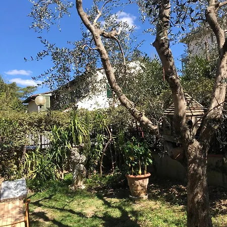 Apartmán La Bianca - In *
